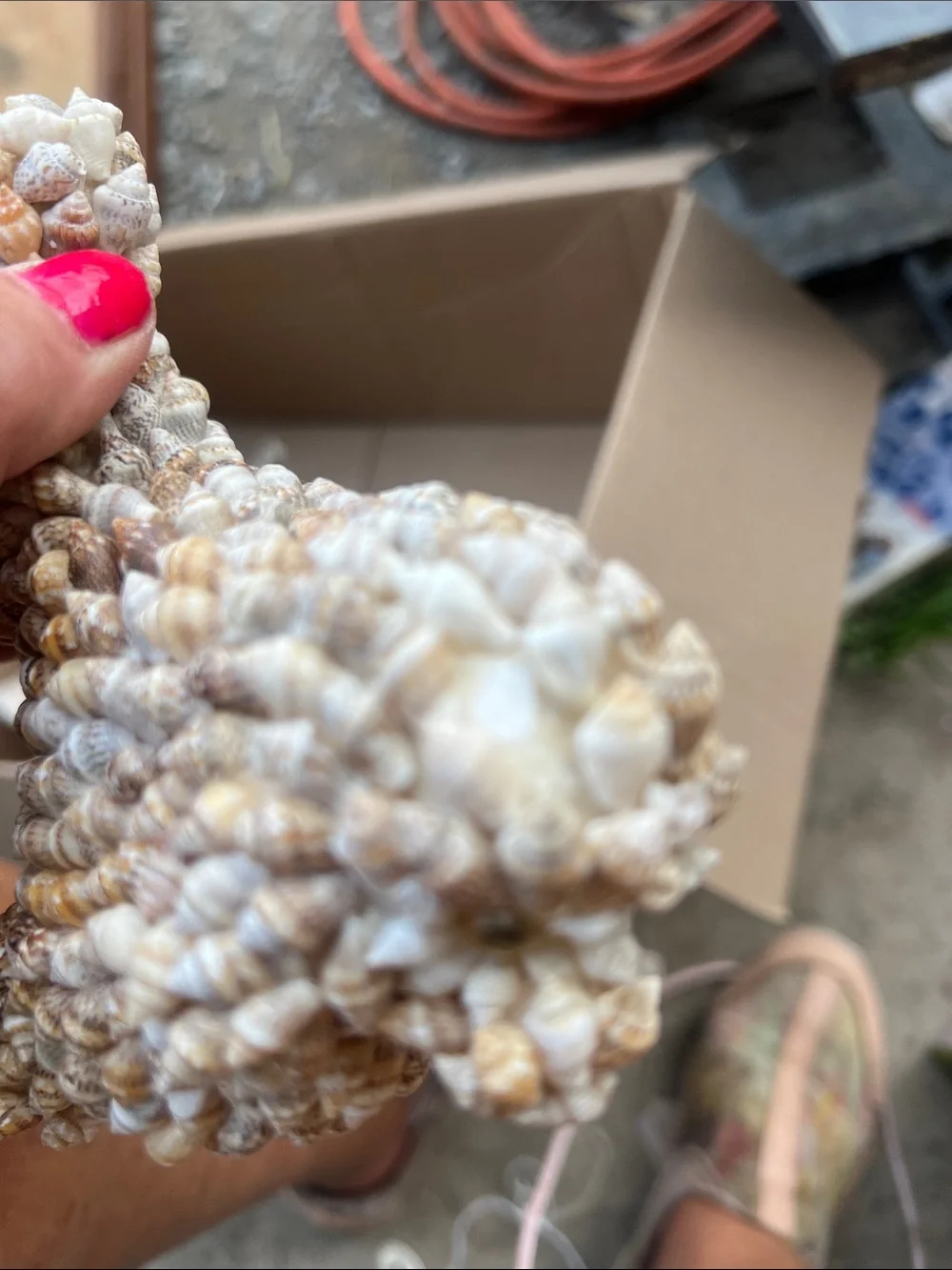 Narco decorative seashell